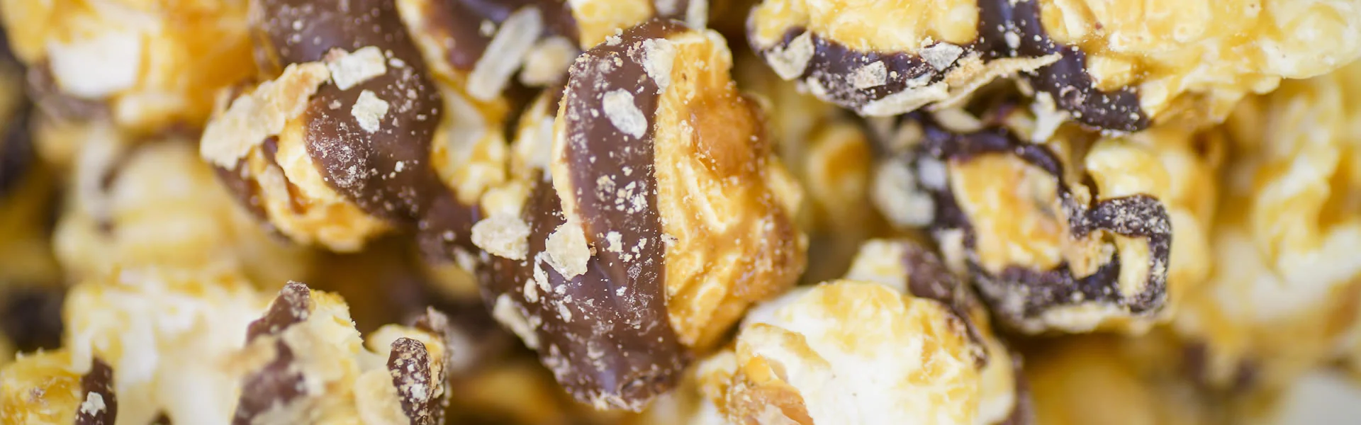 Gourmet Popcorn Perfected Since 2004